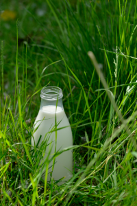 bouteille lait biolait