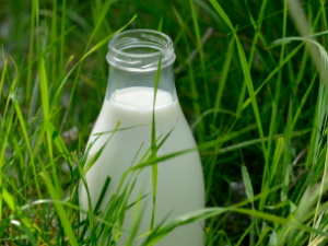 bouteille lait biolait